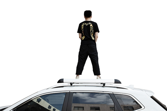 Nhà cung cấp giá đỡ hàng hóa đa năng OEM cho Dodge Ram
